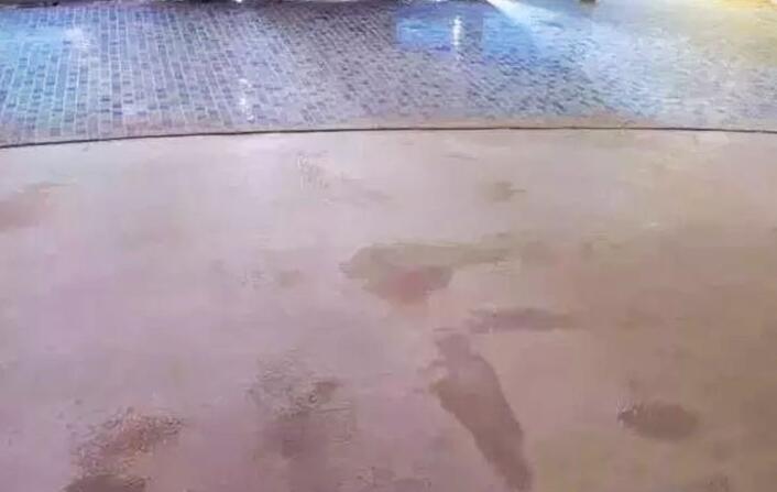 彈性地板鼓包常見(jiàn)原因