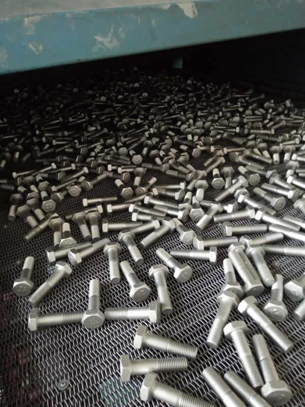 �o�t�_(d��)���_