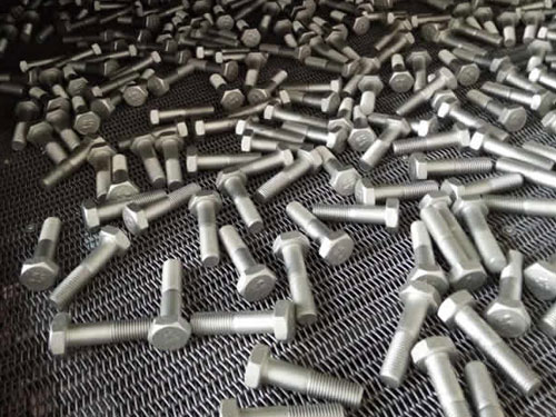 �o�t�_���_